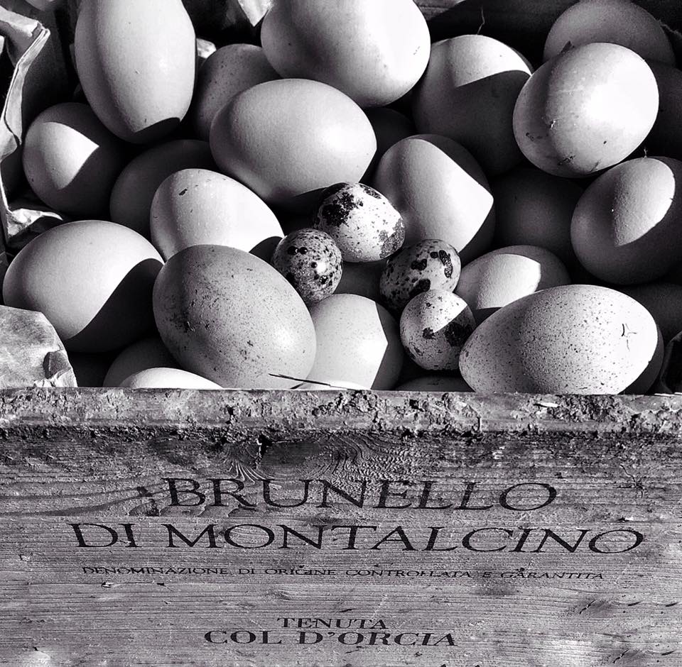 Cantina Col d'Orcia a Montalcino
